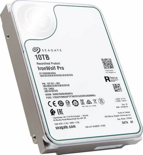 Seagate Ironwolf ST10000VN0004 10 TB Seagate Ironwolf Pro 10 TB