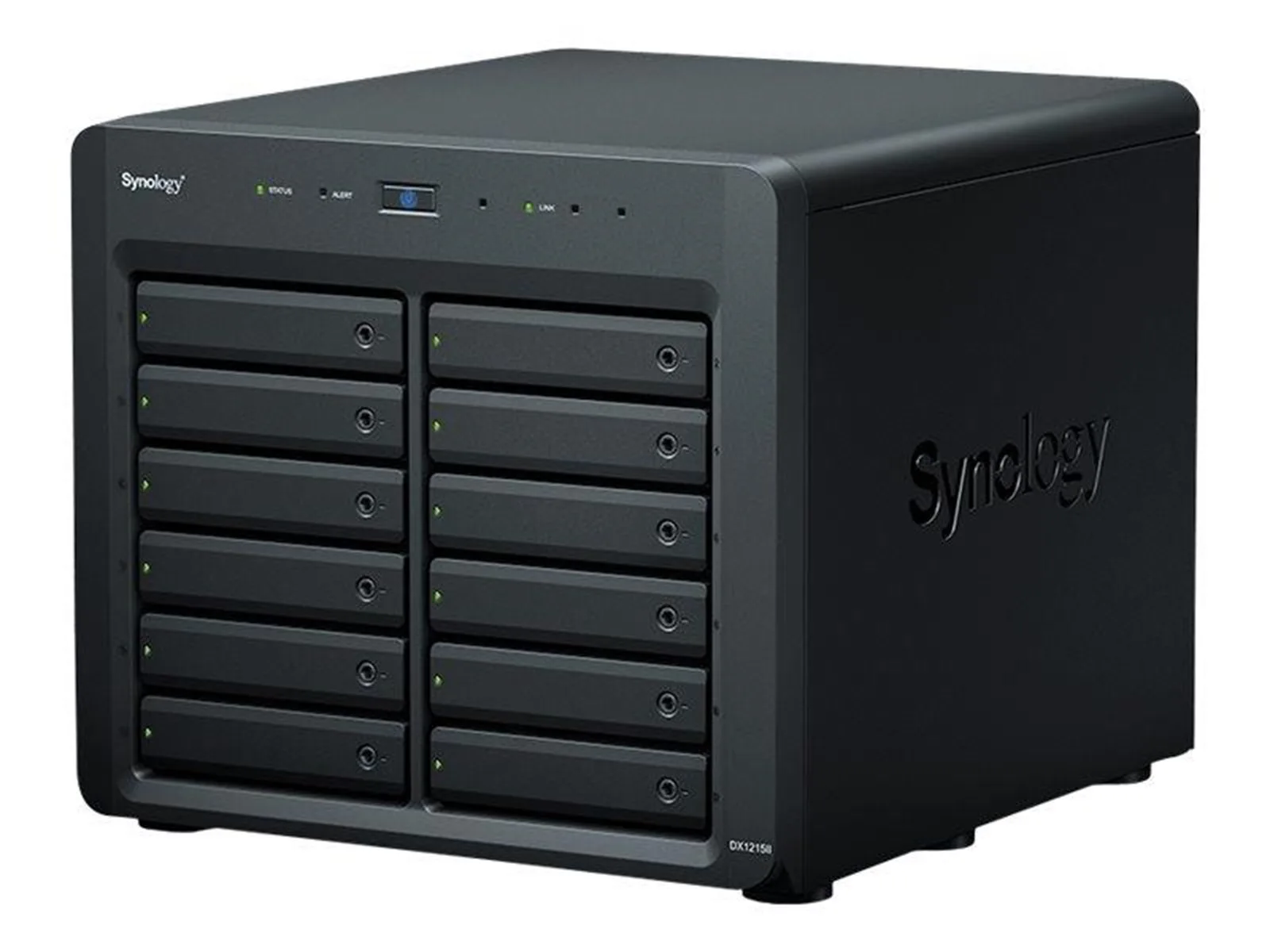 Synology DiskStation DX1215II