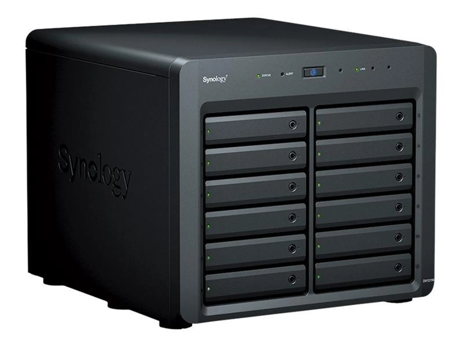 Synology DiskStation DX1215II